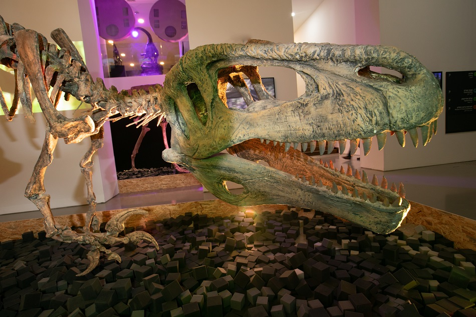 דינוזאורים – ענקי הפטגוניה ב'פארק קרסו למדע'